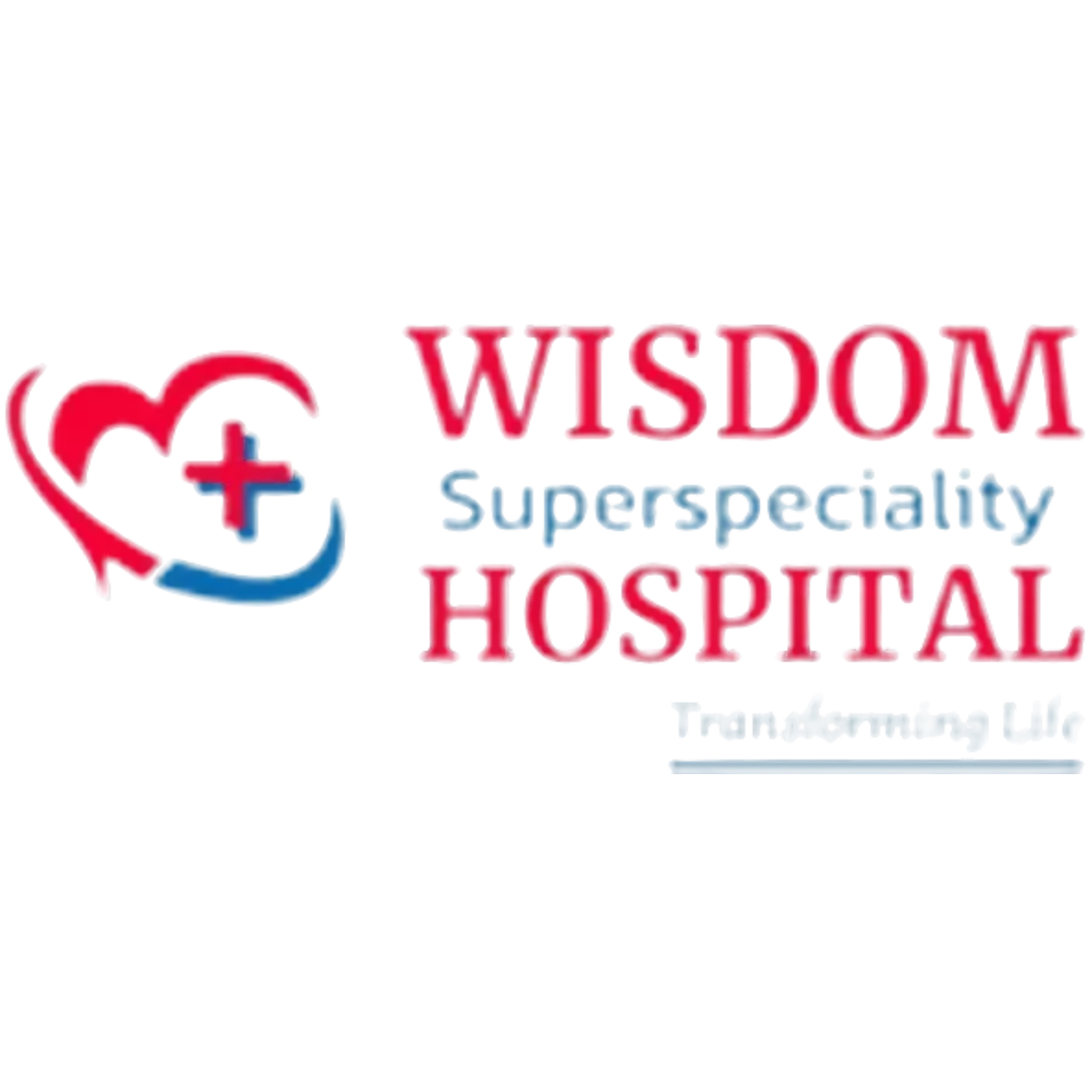 Wisdom Hospital Logo